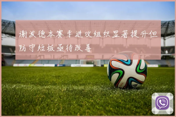 谢泼德本赛季进攻组织显著提升但防守短板亟待改善