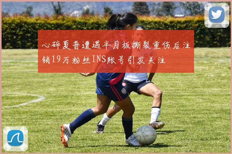 心碎夏普遭遇半月板撕裂重伤后注销19万粉丝INS账号引发关注